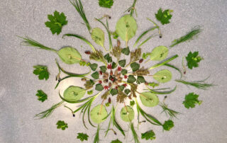 Kreativtraining, sensARTion.at