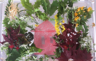 Kunsttherapie, sensARTion.at